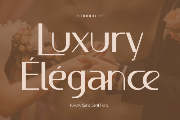 Luxury Élégance Font for Business Branding